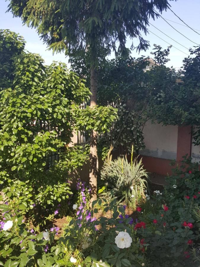 Vila Liz Eforie Nord Hotel Bagian luar foto