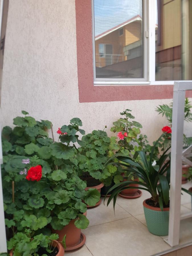 Vila Liz Eforie Nord Hotel Bagian luar foto