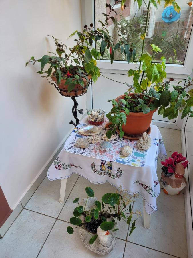 Vila Liz Eforie Nord Hotel Bagian luar foto